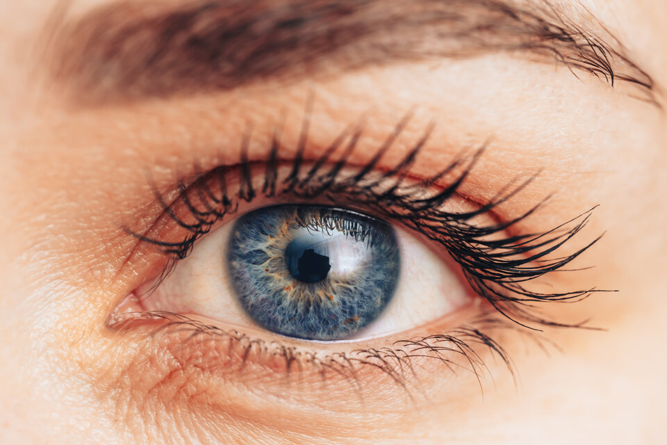 Fitness für die Augen
