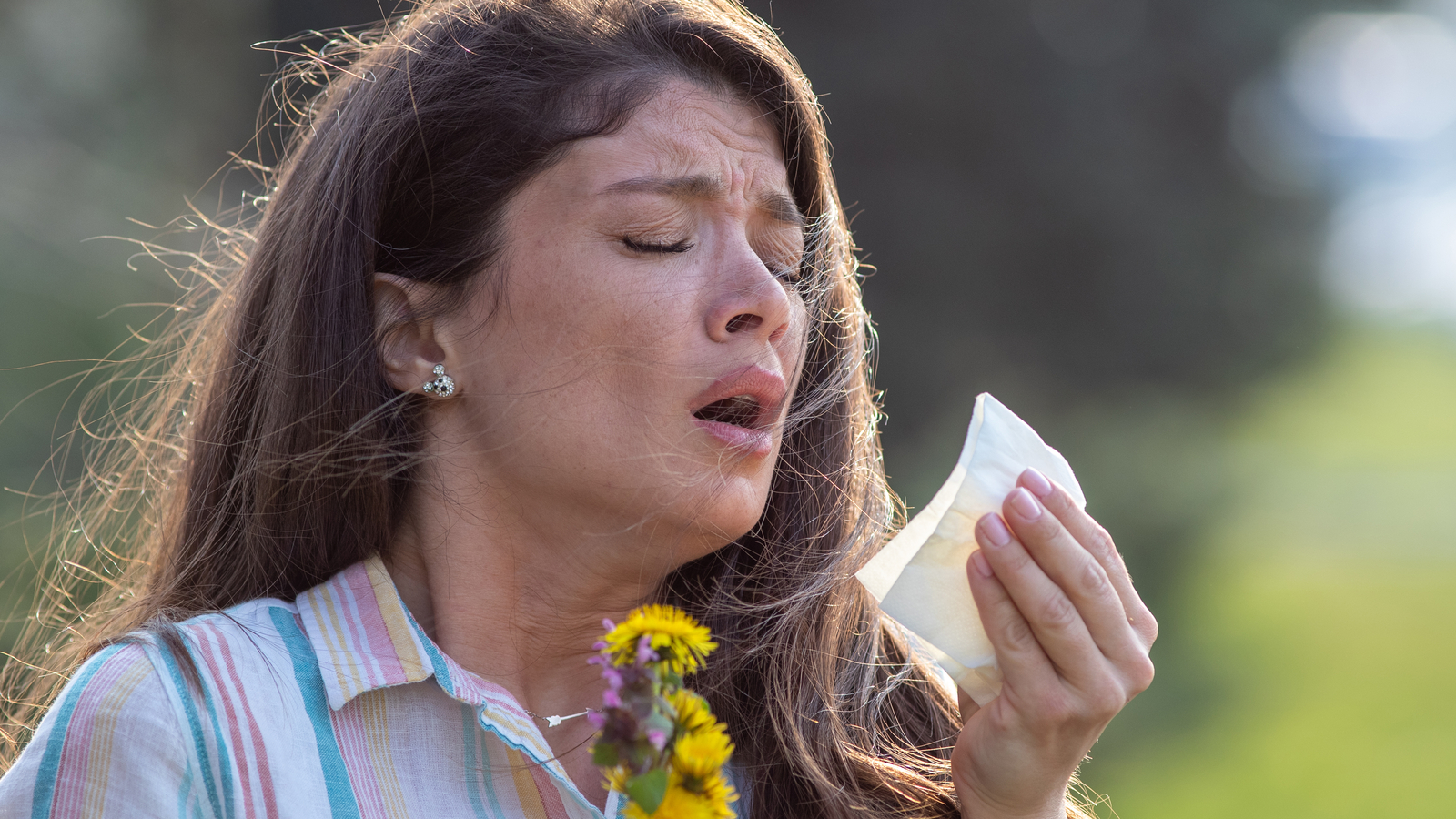 Gräser und Pollen in der Luft Start der Saisonalen Allergien oe24.at
