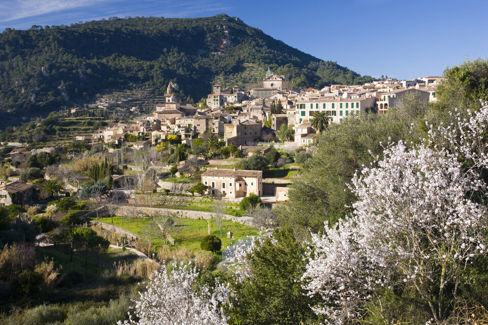 Valledemossa