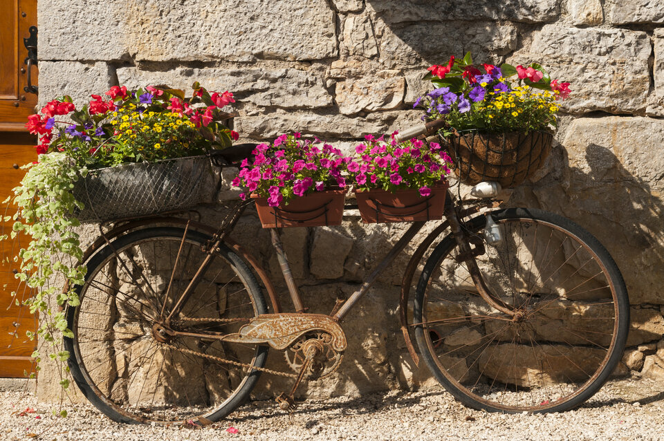 Es hat sich ausgeradelt? Einige mit Sommerblühern bestückte Pflanztöpfe machen aus dem alten Fahrrad ein originelles Schmuckstück im Garten.
