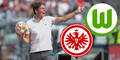 Glasner mit Frankfurt vor Wolfsburg-Rückkehr