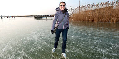 Neusiedlersee Eislaufen Kälte Frost