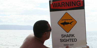 Hai-Warnung