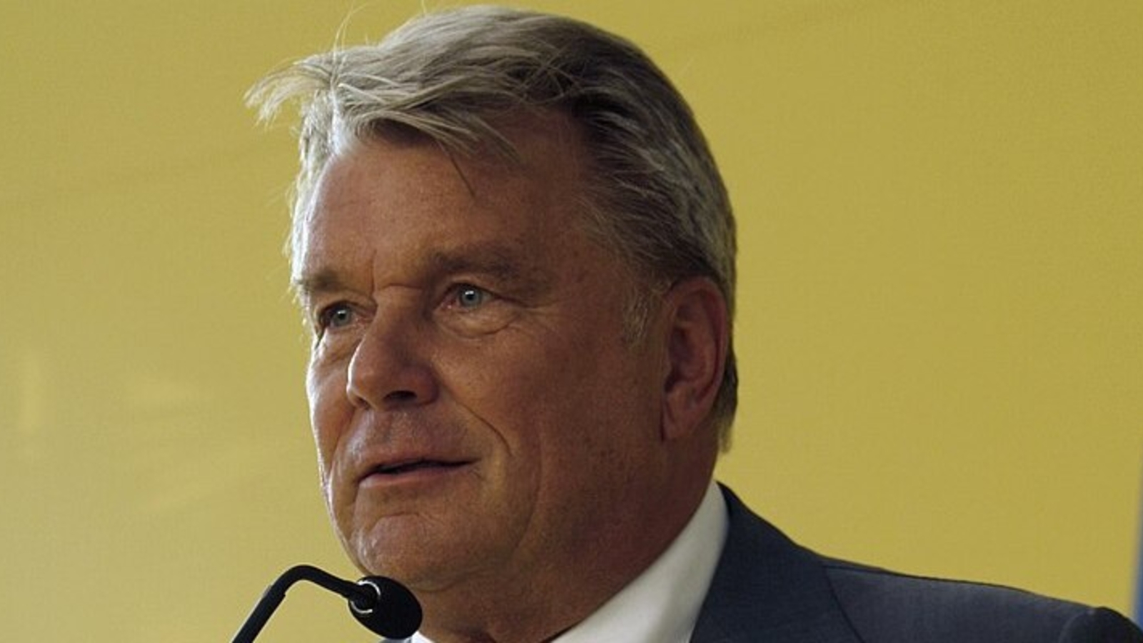 Hans Peter Haselsteiner
