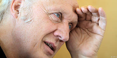 Herman van Veen im Interview mit der APA