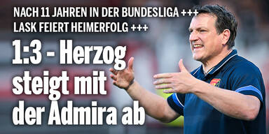 1:3 - Herzog steigt mit der Admira ab