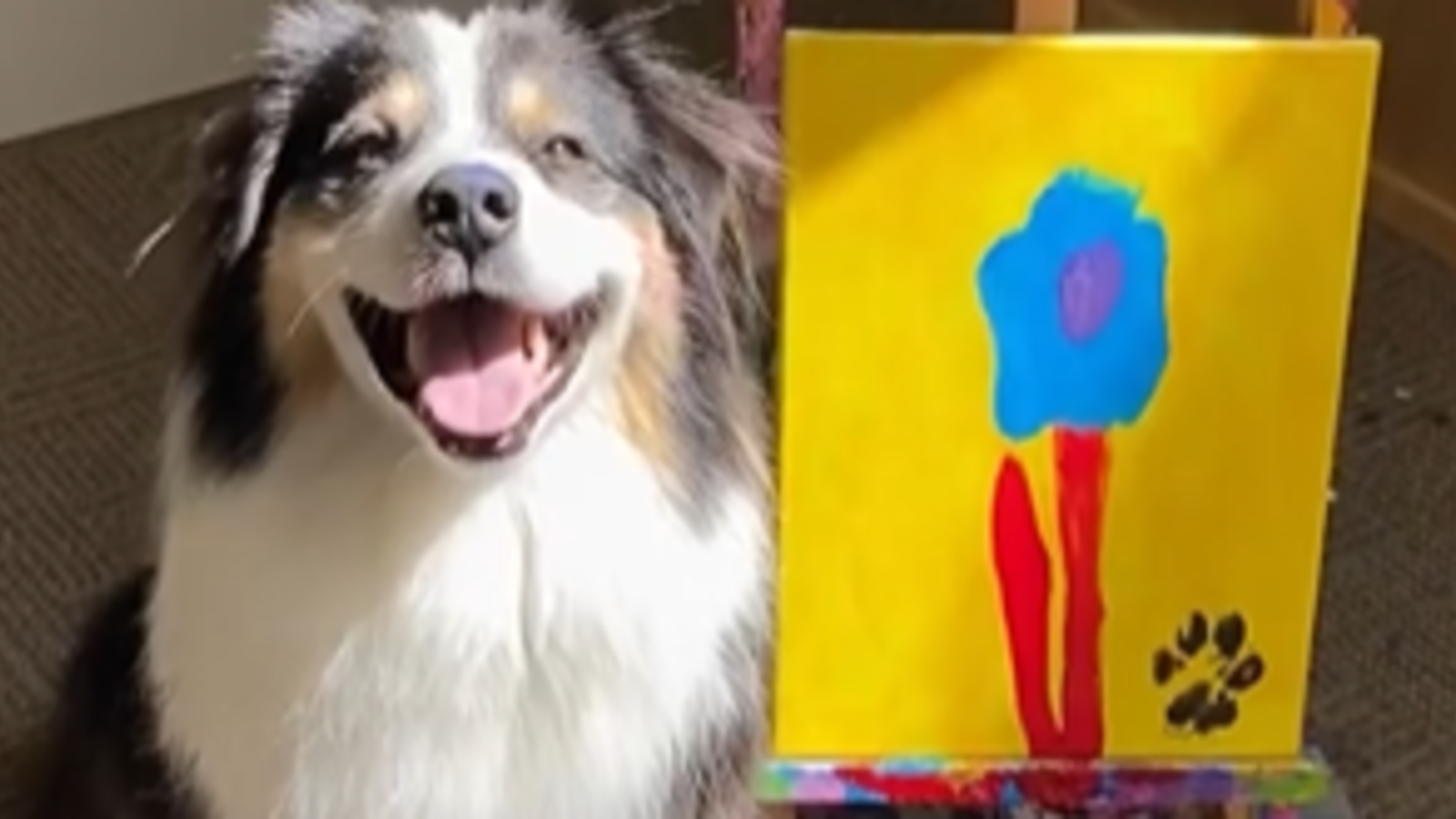 'Malender' Hund begeistert mit Kunstwerk das Netz - oe24.at