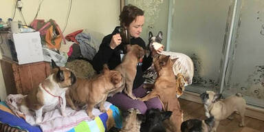 Heldenhafte Frau rettet 50 Hunde aus Ukraine