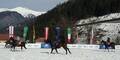 Snow-Polo-Turnier in Bad Gastein