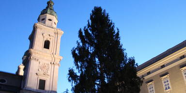Der Christbaum ist in Salzburg