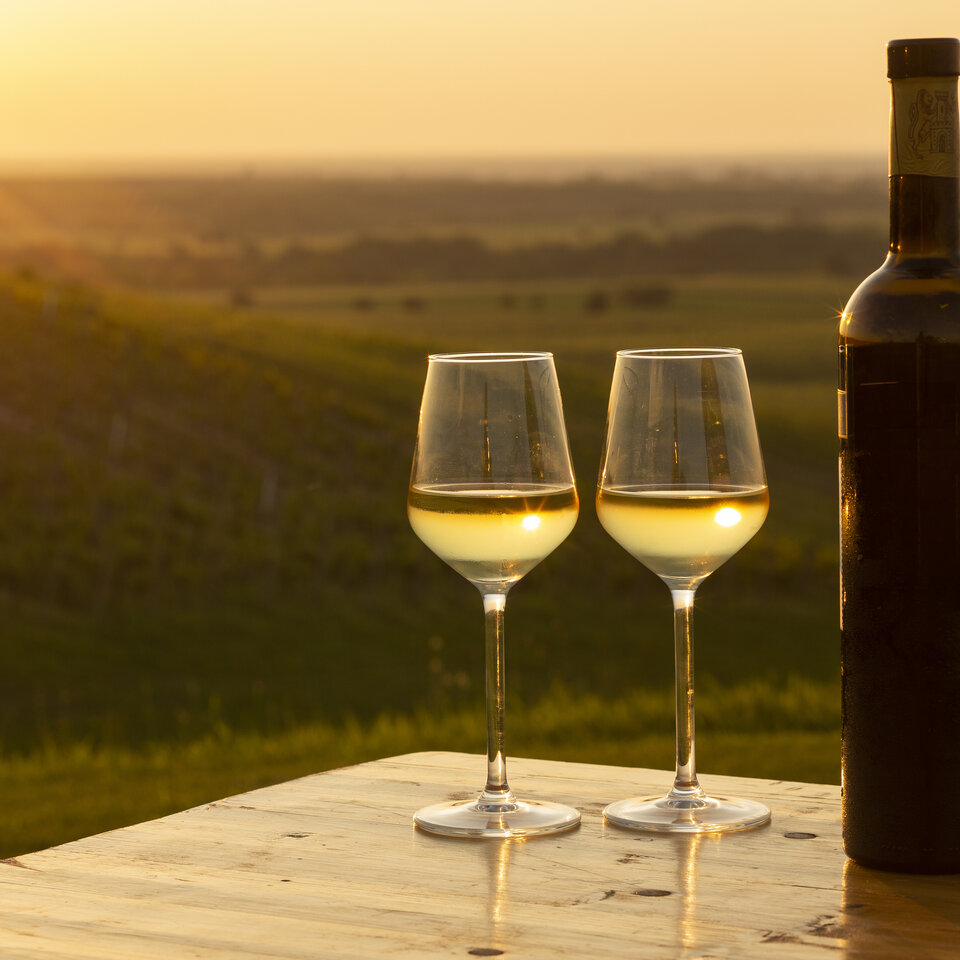 Wein aus Ilok