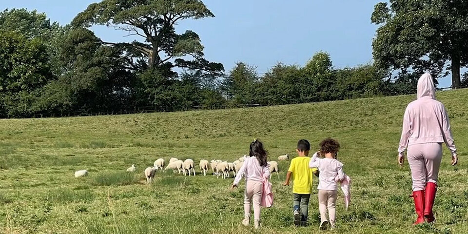 Ob es diese verbrecherische Schafsherde war, die die Familie aus den sanften Träumen riss?