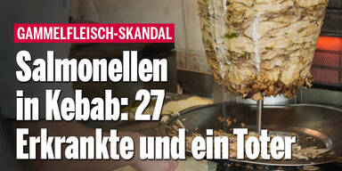 Salmonellen in Kebab: 27 Erkrankte und ein Toter