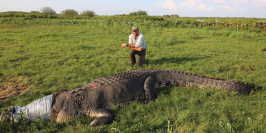 Mann postet Foto von Riesen-Krokodil - und löst Riesen-Diskussion aus