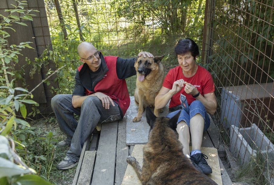Lucy, Jerry-Lee 2 - Tierschutz-CH - Unsere Tiere - Gut Aiderbichl - Sendung 01092019