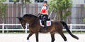 Österreichs Dressur-Reit-Olympionikin Victoria Max-Theurer auf ihrem Pferd Abegglen