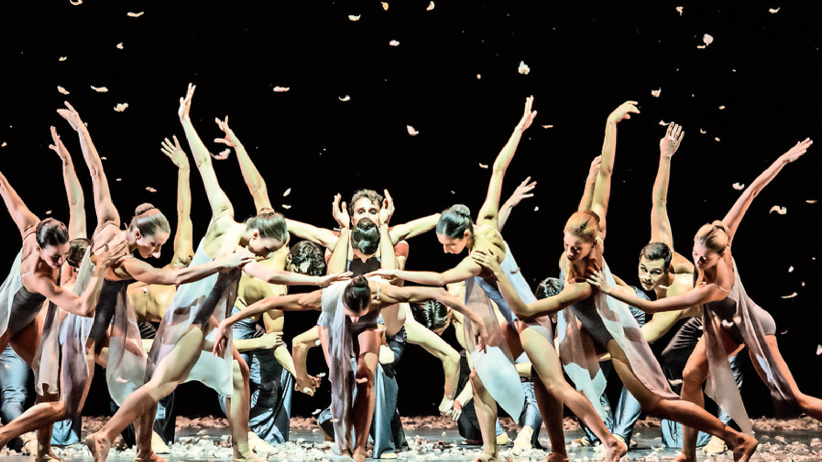 Virtuose TanzErlebnisse