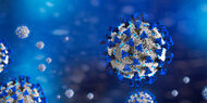 Neue Corona-Variante in Südfrankreich entdeckt