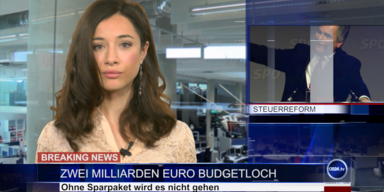 News TV: Österreichs Budgetloch & Giraffen in Kaserne?
