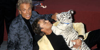 Nach Tod von Siegfried & Roy: Tiger erben 185 Millionen