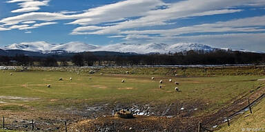 Nichts für Warmduscher - Die Highlands im Frühling