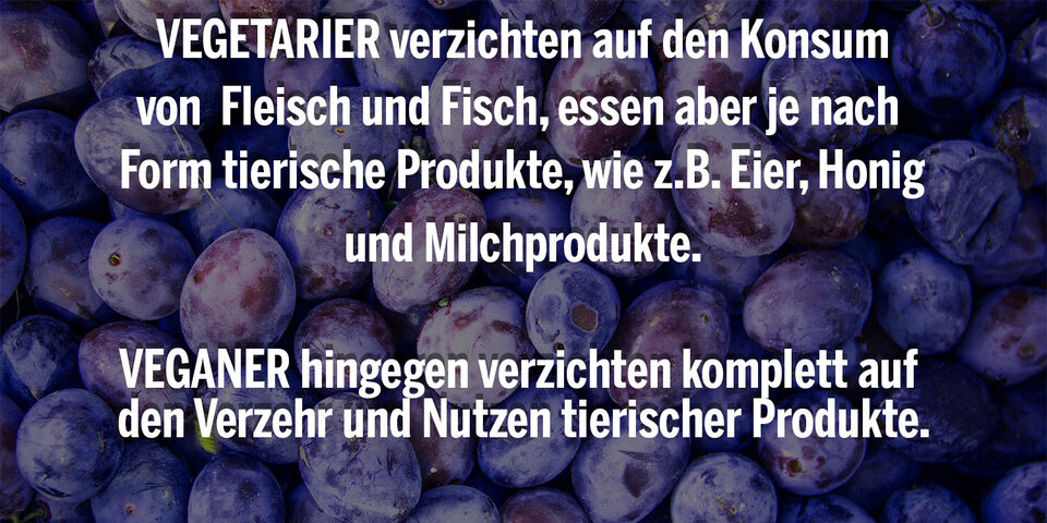 Warum eine vegane Ernährungsweise gesund ist