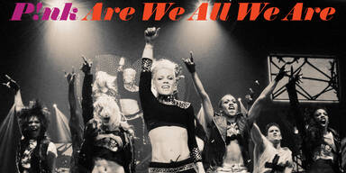Pink - Are We All We Are