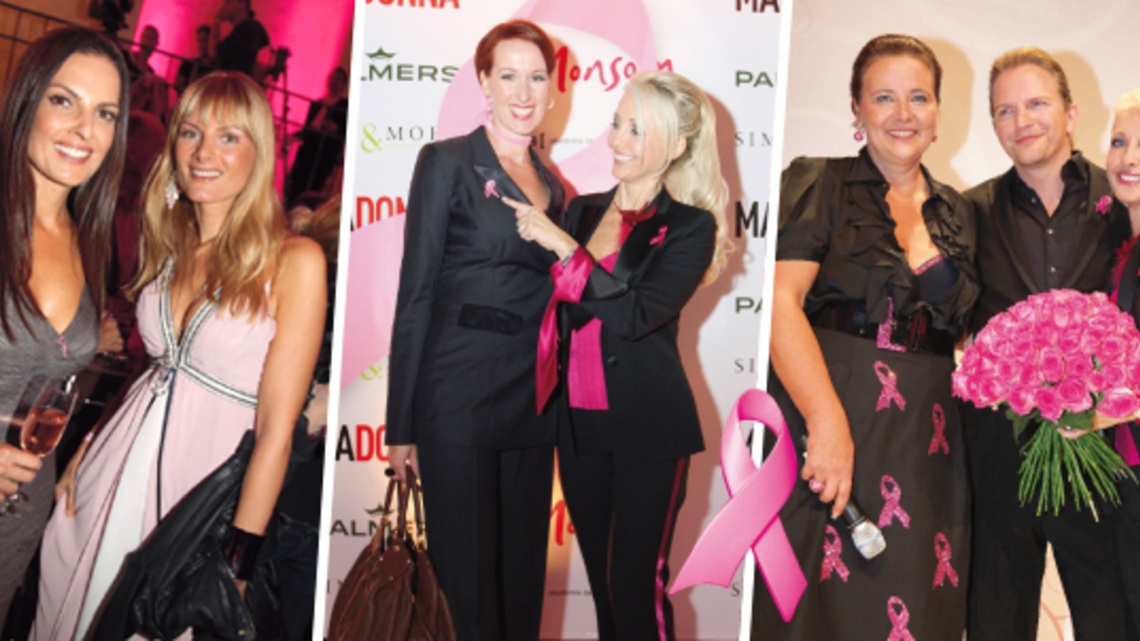 Die Pink Ribbon Night 2009