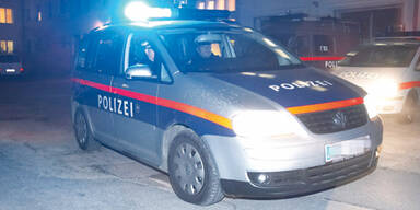 Serien-Einbrecher geschnappt
