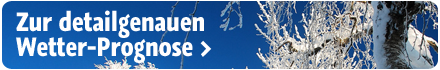 Schnee sorgt für Sperren und Unfälle
