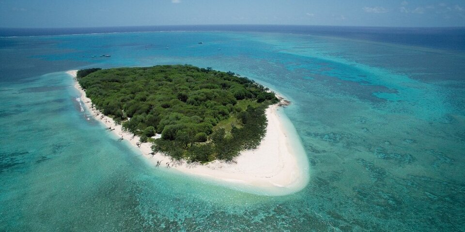 Tierisches Spektakel am Great Barrier Reef
