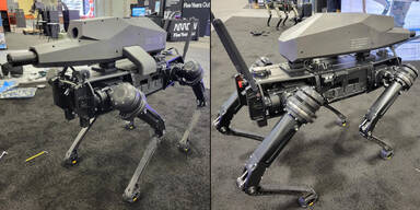 Firma zeigt Robo-Hund mit Scharfschützengewehr