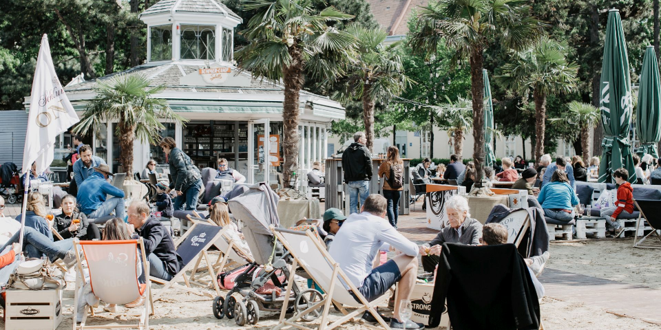 Salettel-Sommer im alten AKH in Wien gibt's Cocktails unter Palmen.