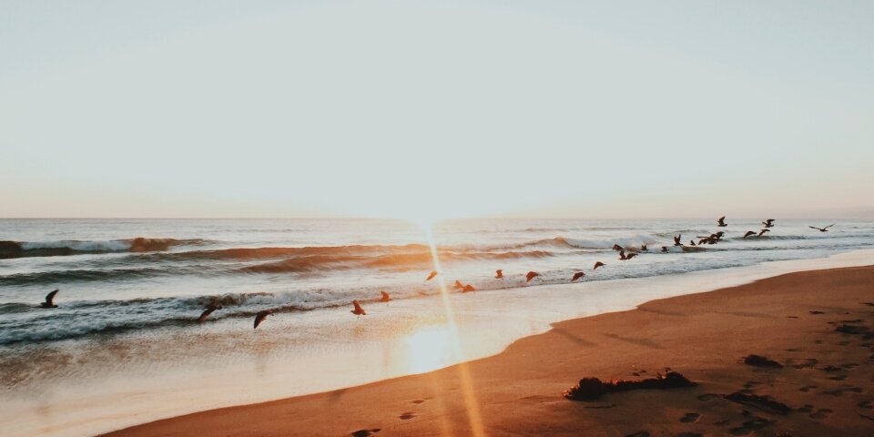 Santa Cruz Beach