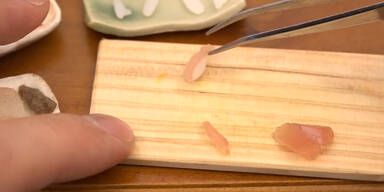 Das kleinste Sushi der Welt