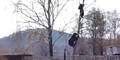 Russland: Bär jagt Mann auf Baum