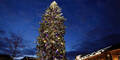 Kopie von Weihnachtsbaum Straßburg Strasbourg