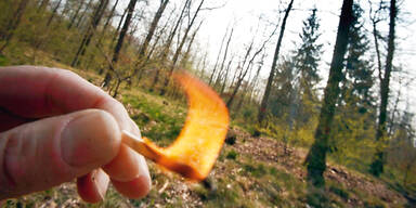 Feuer machen und Rauchen im Wald auch im Flachgau verboten