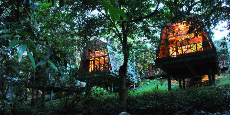 Tabin Wildlife Reserve bei Nacht