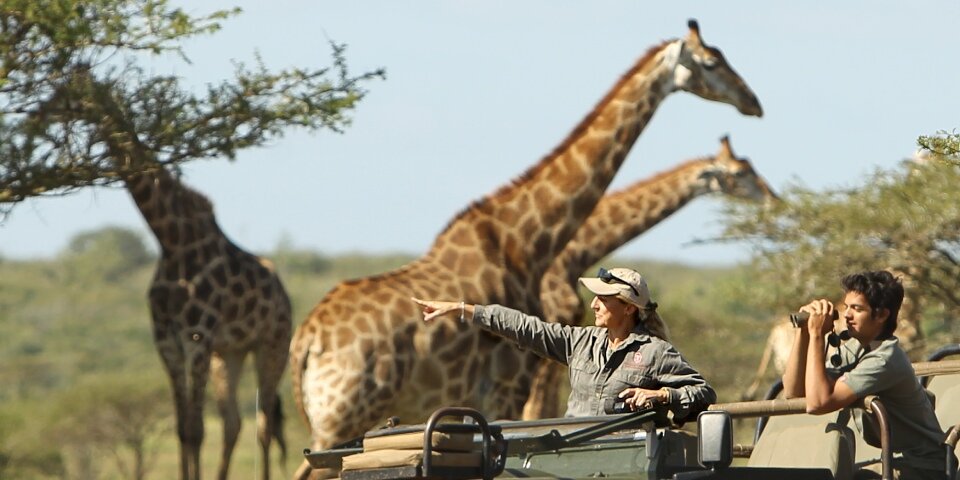 Thanda Safar Lorraine Doyle