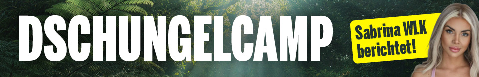 Dschungelcamp
