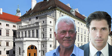 Hofburg-Wahl: Stronach unterstützt Wallentin
