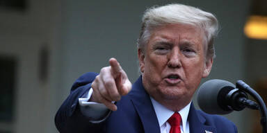 Trump: US-Demokraten missbrauchen Macht und sind Gefahr für Land