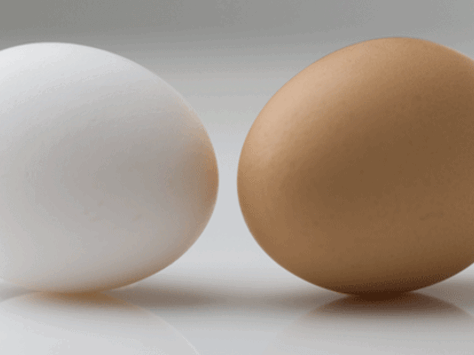 Warum Sind Manche Eier Weiß Und Andere Braun