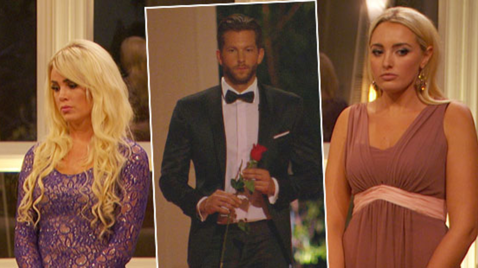 Die Bachelors Finale 2025: Diese Frau Wird Die Letzte Rose Bekommen? Die Anzeichen! - df283hn