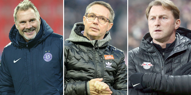 Fink Canadi Hasenhüttl