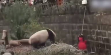Mädchen fällt in Panda-Gehege