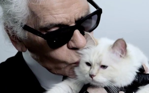 Lagerfeld Choupette Katze