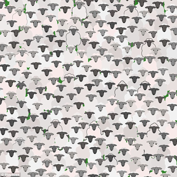 Rätsel: Wo versteckt sich die Ziege?