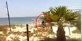 Amateur-Video zeigt Anschlag auf Strandhotel